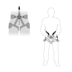 avao bod harness